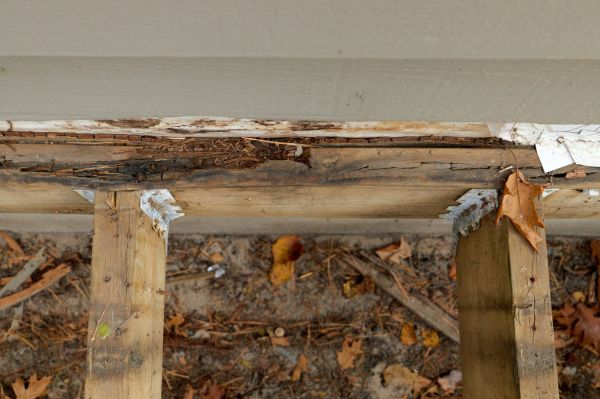 Plano Wood Rot Repair