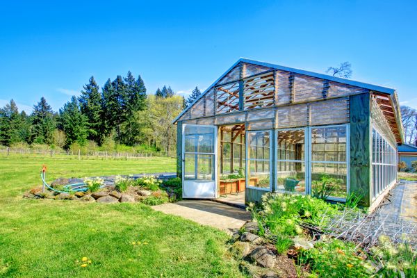 Plano Outdoor Structure Service