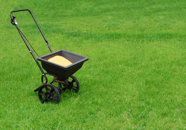 Plano Lawn Treatment