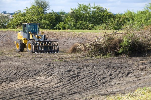Plano Land Clearing