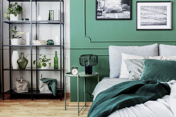 Plano Interior Painting