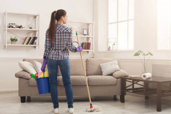 Plano Interior Cleaning